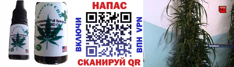 Cannafood конопля  Талица 