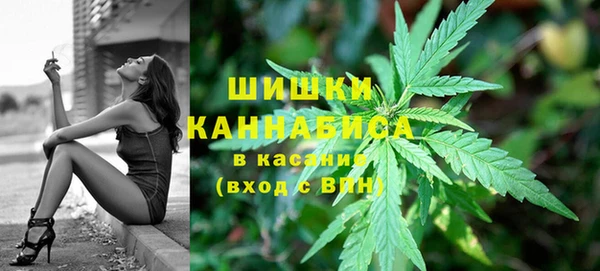 ПСИЛОЦИБИНОВЫЕ ГРИБЫ Майский